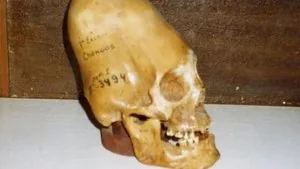 Antik Uzaylılar 1. sezon 2. bölüm