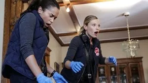 Chicago Fire 2. sezon 4. bölüm