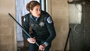 Chicago P.D. 2. sezon 15. bölüm