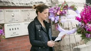 Chicago P.D. 2. sezon 21. bölüm