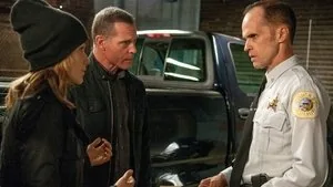 Chicago P.D. 2. sezon 9. bölüm