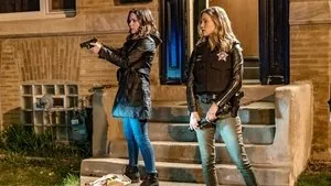 Chicago P.D. 4. sezon 22. bölüm