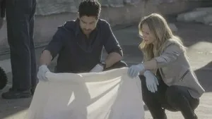 Criminal Minds 12. sezon 12. bölüm