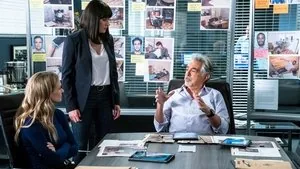 Criminal Minds 14. sezon 9. bölüm