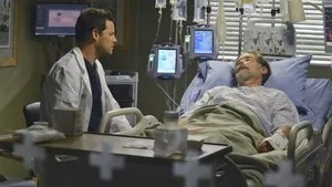 Grey's Anatomy 10. sezon 13. bölüm