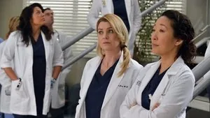 Grey's Anatomy 10. sezon 14. bölüm