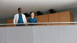 Grey's Anatomy 10. sezon 22. bölüm