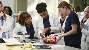 Grey's Anatomy 11. sezon 10. bölüm