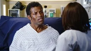 Grey's Anatomy 11. sezon 12. bölüm