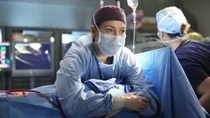 Grey's Anatomy 11. sezon 15. bölüm