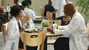 Grey's Anatomy 11. sezon 2. bölüm