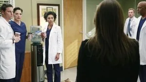 Grey's Anatomy 11. sezon 22. bölüm