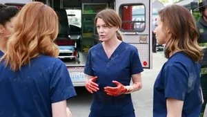 Grey's Anatomy 11. sezon 23. bölüm