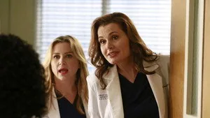 Grey's Anatomy 11. sezon 8. bölüm
