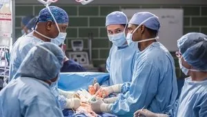 Grey's Anatomy 12. sezon 13. bölüm
