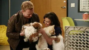 Grey's Anatomy 12. sezon 14. bölüm