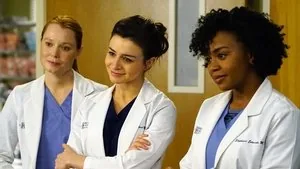 Grey's Anatomy 12. sezon 17. bölüm