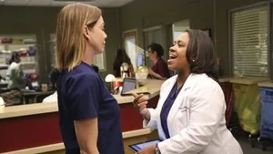 Grey's Anatomy 12. sezon 2. bölüm