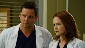 Grey's Anatomy 12. sezon 22. bölüm