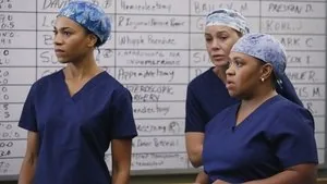 Grey's Anatomy 12. sezon 7. bölüm