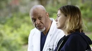 Grey's Anatomy 12. sezon 9. bölüm
