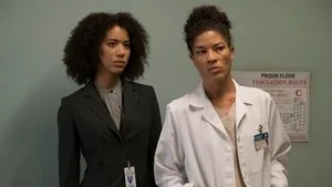 Grey's Anatomy 13. sezon 10. bölüm