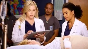 Grey's Anatomy 13. sezon 11. bölüm