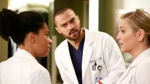 Grey's Anatomy 13. sezon 12. bölüm