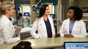 Grey's Anatomy 13. sezon 13. bölüm