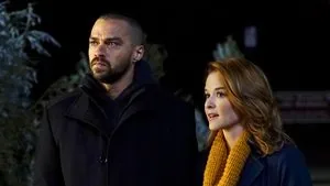 Grey's Anatomy 13. sezon 16. bölüm