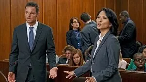 Grey's Anatomy 13. sezon 2. bölüm