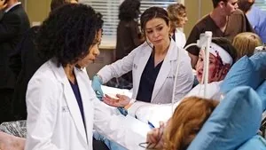 Grey's Anatomy 13. sezon 3. bölüm