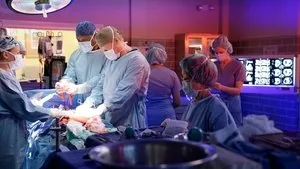 Grey's Anatomy 13. sezon 8. bölüm