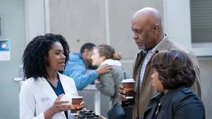 Grey's Anatomy 14. sezon 15. bölüm