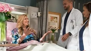 Grey's Anatomy 14. sezon 16. bölüm