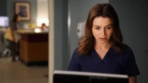 Grey's Anatomy 14. sezon 2. bölüm