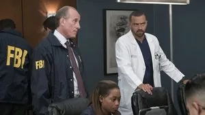 Grey's Anatomy 14. sezon 8. bölüm