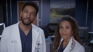Grey's Anatomy 19. sezon 14. bölüm