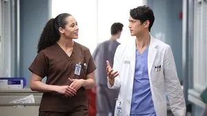 Grey's Anatomy 19. sezon 16. bölüm