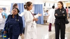 Grey's Anatomy 19. sezon 5. bölüm