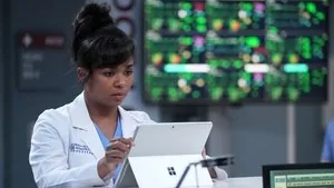 Grey's Anatomy 21. sezon 13. bölüm
