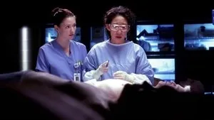 Grey's Anatomy 4. sezon 14. bölüm