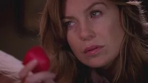 Grey's Anatomy 5. sezon 14. bölüm