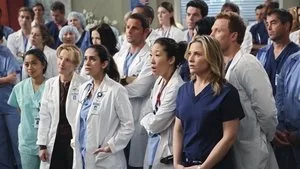 Grey's Anatomy 6. sezon 13. bölüm