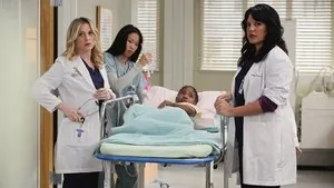 Grey's Anatomy 6. sezon 23. bölüm
