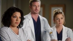 Grey's Anatomy 7. sezon 13. bölüm