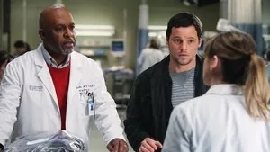 Grey's Anatomy 7. sezon 15. bölüm