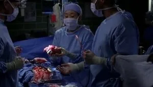 Grey's Anatomy 7. sezon 2. bölüm