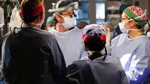 Grey's Anatomy 8. sezon 11. bölüm