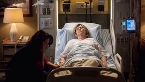 Grey's Anatomy 8. sezon 8. bölüm